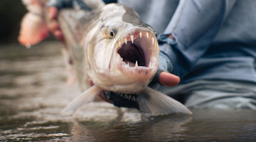 A Journey into Africa: Unveiling the Ultimate Fishing Experience