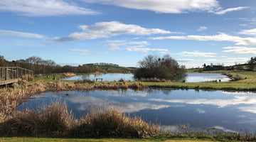 Reservoir and stillwater fly fishing 101