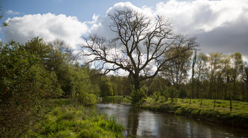 The Ultimate Guide To Fly Fishing In Hampshire