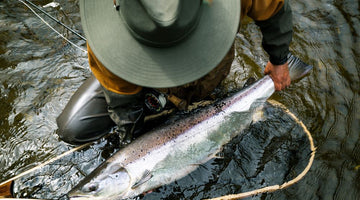 F3T Behind The Lens: Only The Salmon Know