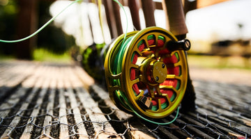A Closer Look at Fly Reels: What Makes a Great One Stand Out?