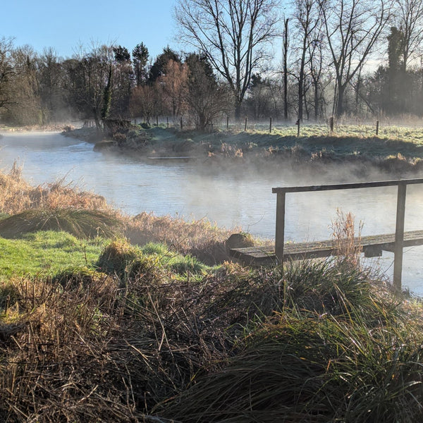 The Catch Series: Chalk Stream Grayling Experience - Hampshire
