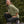 Load image into Gallery viewer, woman kneeling down on rocks wearing black tights and green sweater