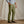 Load image into Gallery viewer, dark green trousers from orvis