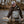 Load image into Gallery viewer, man showing fish to the camera