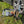 Load image into Gallery viewer, Orvis fishing pack and fly rods next to car
