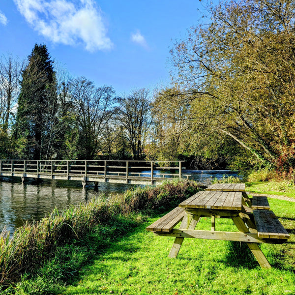 The Catch Series: Adult & Child Fly Fishing Experience on the River Test