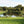 Load image into Gallery viewer, lake and greenery on a sunny day