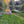 Load image into Gallery viewer, The Catch Series: Stillwater Trout Experience - Surrey