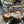 Load image into Gallery viewer, The Catch Series: Grayling Fishing on the Derbyshire Derwent
