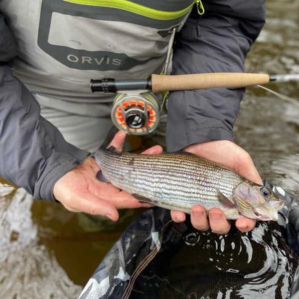 The Catch Series: Grayling Fishing on the Derbyshire Derwent
