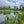 Load image into Gallery viewer, Lagoon surrounded by greenery with yellow flowers on a cloudy day