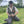 Load image into Gallery viewer, Man in fishing gear holding a fish outdoors on grass with trees in the background