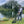 Load image into Gallery viewer, Man fishing by a lake with trees and grass in the background