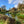 Load image into Gallery viewer, man fishing in river