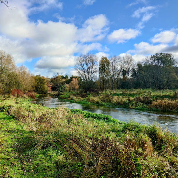 river running through green field with blue skies