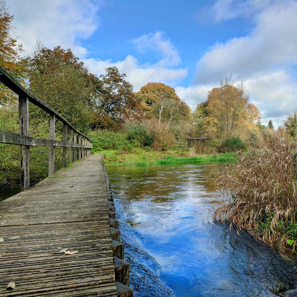 A wooden footbridge leading to a riverbank with trees in the background under a blue sky with clouds.