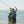 Load image into Gallery viewer, The Catch Series: Saltwater Fly Fishing Experience - West Sussex
