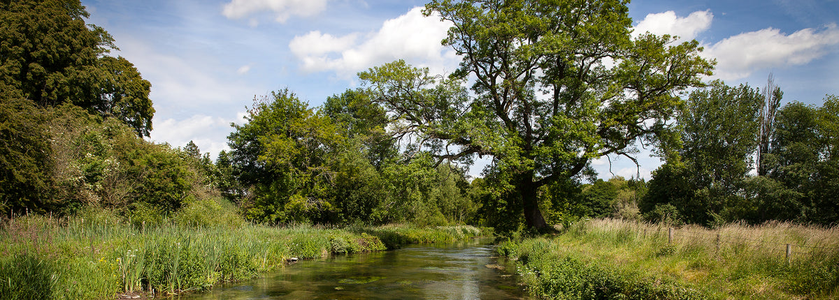 Abbots Worthy on the Itchen