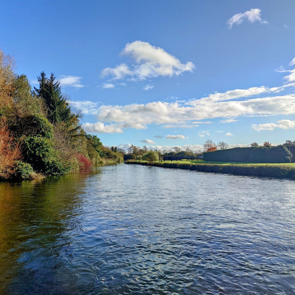 A scenic view of a river with trees on the bank under a blue sky with clouds.