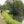 Load image into Gallery viewer, man on side of river in the sunshine