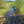 Load image into Gallery viewer, small river on a sunny day