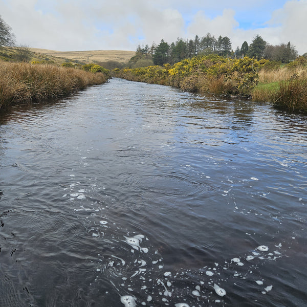 river with hill in the background