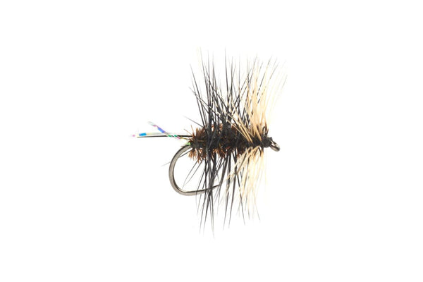 fly fishing fly