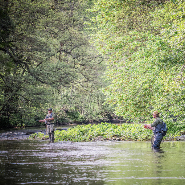 The Catch Series: River Trout Experience – River Derwent, Derbyshire