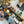 Load image into Gallery viewer, Family Fly Fishing Introduction – INSPIRATIONAL FREE FAMILY FUN!