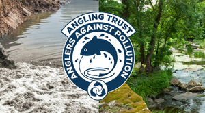 HOW TO REPORT POLLUTION INCIDENTS | WHAT TO DO ABOUT WATER POLLUTION