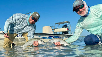 A different Kind of November