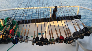Colin’s Cuban Report