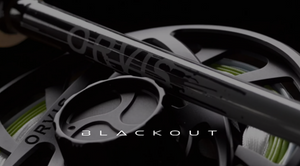 THE HELIOS 3 BLACKOUTS