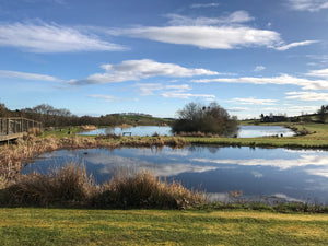 Reservoir and stillwater fly fishing 101