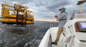 Suzuki After Dark: Fly Fishing Tokyo Bay