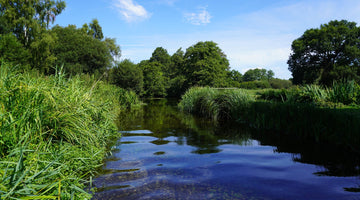Kimbridge Fishing Beat