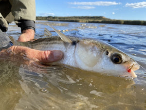 Want more mullet on the fly? Think 'Lazy'!