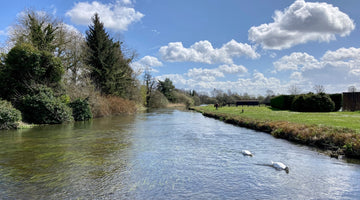 River on a sunny day