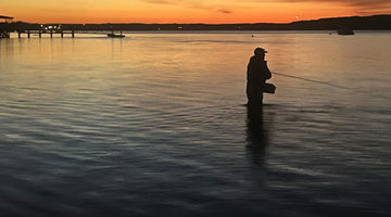 Pilgrimage to The Cape