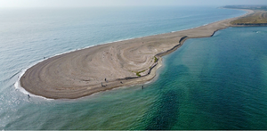 THE ROAD TO SALTWATER FLY FISHING SUCCESS