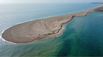 THE ROAD TO SALTWATER FLY FISHING SUCCESS