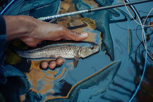 Orvis Recon: A Fly Rod for Every Expedition