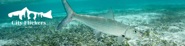 City Flickers Gear Guide - Delphi Club, Bahamas
