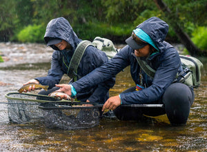 Two anglers in rain gear crouch in the river hold their catches above their nets