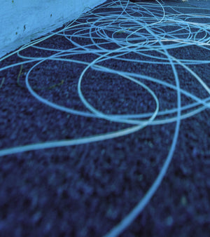 closeup of fishing line