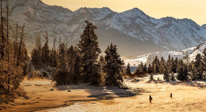 IN golden sunlight, two anglers wade in a winding river beneath snow-covered mountains