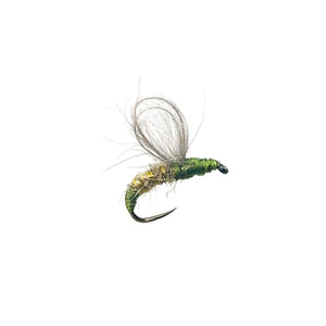 fly fishing fly