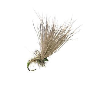 fly fishing fly