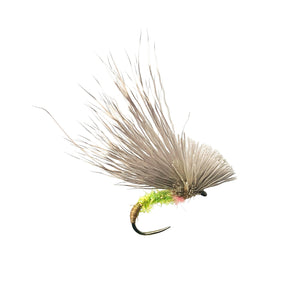 fly fishing fly